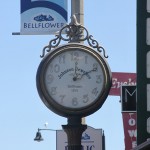 Bellflower_pic18_450x450