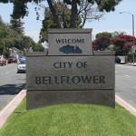 Bellflower_pic3_450x450